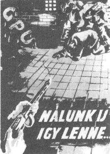 Иллюстрация к книге — 100 дней в кровавом аду. Будапешт - "дунайский Сталинград"? [i_068.jpg]