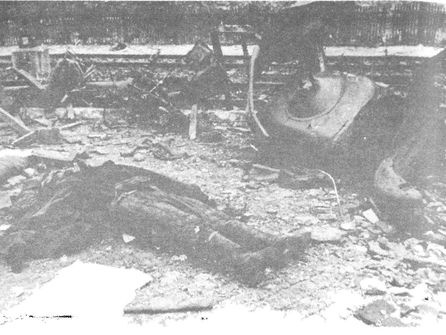 Иллюстрация к книге — 100 дней в кровавом аду. Будапешт - &quot;дунайский Сталинград&quot;? [i_071.jpg]