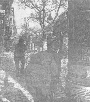 Иллюстрация к книге — 100 дней в кровавом аду. Будапешт - &quot;дунайский Сталинград&quot;? [i_074.jpg]