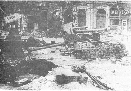 Иллюстрация к книге — 100 дней в кровавом аду. Будапешт - &quot;дунайский Сталинград&quot;? [i_081.jpg]