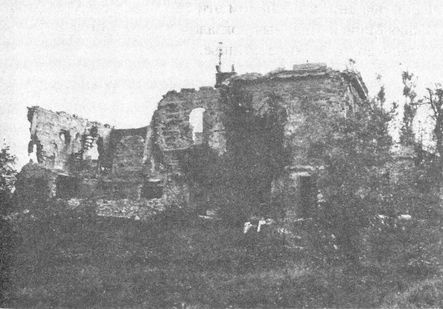 Иллюстрация к книге — 100 дней в кровавом аду. Будапешт - &quot;дунайский Сталинград&quot;? [i_089.jpg]