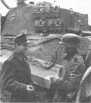 Иллюстрация к книге — 100 дней в кровавом аду. Будапешт - &quot;дунайский Сталинград&quot;? [i_100.jpg]