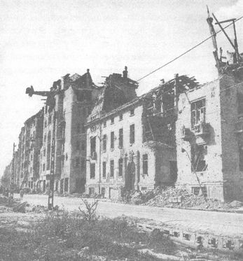 Иллюстрация к книге — 100 дней в кровавом аду. Будапешт - &quot;дунайский Сталинград&quot;? [i_101.jpg]