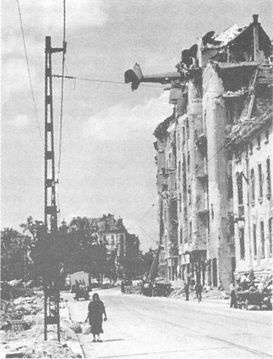 Иллюстрация к книге — 100 дней в кровавом аду. Будапешт - &quot;дунайский Сталинград&quot;? [i_103.jpg]