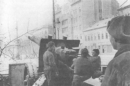 Иллюстрация к книге — 100 дней в кровавом аду. Будапешт - &quot;дунайский Сталинград&quot;? [i_105.jpg]