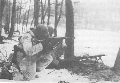 Иллюстрация к книге — 100 дней в кровавом аду. Будапешт - &quot;дунайский Сталинград&quot;? [i_108.jpg]