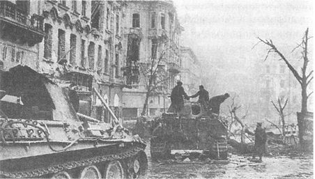 Иллюстрация к книге — 100 дней в кровавом аду. Будапешт - &quot;дунайский Сталинград&quot;? [i_113.jpg]