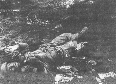 Иллюстрация к книге — 100 дней в кровавом аду. Будапешт - &quot;дунайский Сталинград&quot;? [i_115.jpg]