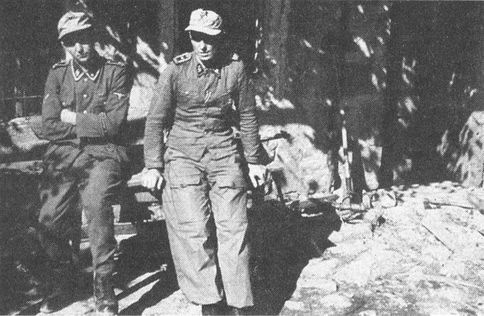 Иллюстрация к книге — Последнее наступление Гитлера. Разгром танковой элиты Рейха [i_073.jpg]