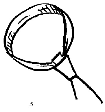 Иллюстрация к книге — Шарфик, платочек, парео. Как красиво и модно повязать [i_030.jpg]