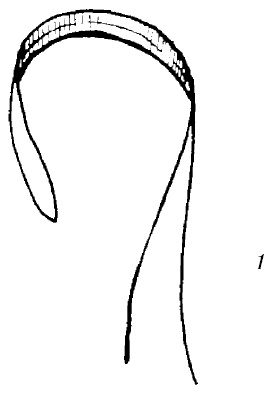 Иллюстрация к книге — Шарфик, платочек, парео. Как красиво и модно повязать [i_079.jpg]