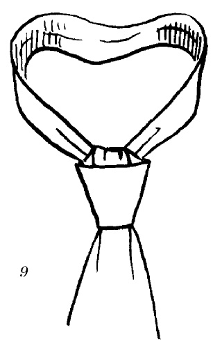 Иллюстрация к книге — Шарфик, платочек, парео. Как красиво и модно повязать [i_116.jpg]