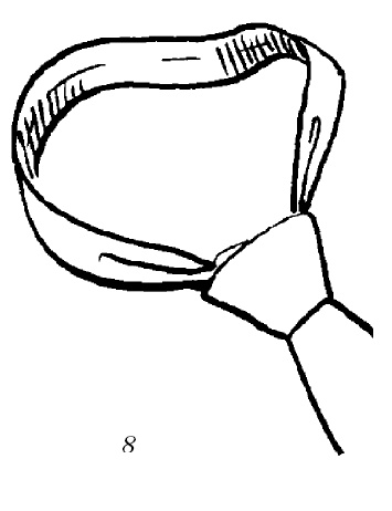 Иллюстрация к книге — Шарфик, платочек, парео. Как красиво и модно повязать [i_124.jpg]