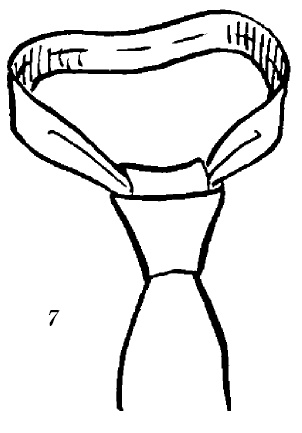 Иллюстрация к книге — Шарфик, платочек, парео. Как красиво и модно повязать [i_131.jpg]