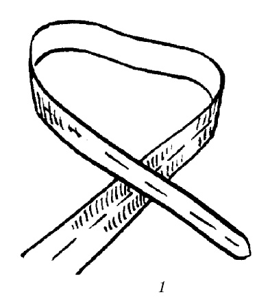 Иллюстрация к книге — Шарфик, платочек, парео. Как красиво и модно повязать [i_132.jpg]