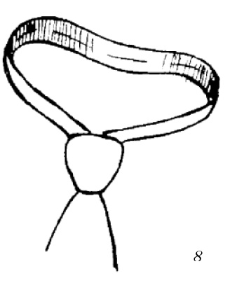 Иллюстрация к книге — Шарфик, платочек, парео. Как красиво и модно повязать [i_153.jpg]