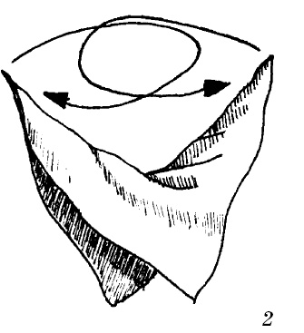 Иллюстрация к книге — Шарфик, платочек, парео. Как красиво и модно повязать [i_160.jpg]