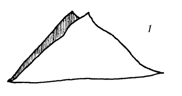 Иллюстрация к книге — Шарфик, платочек, парео. Как красиво и модно повязать [i_167.jpg]