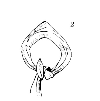 Иллюстрация к книге — Шарфик, платочек, парео. Как красиво и модно повязать [i_187.jpg]