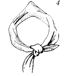 Иллюстрация к книге — Шарфик, платочек, парео. Как красиво и модно повязать [i_189.jpg]