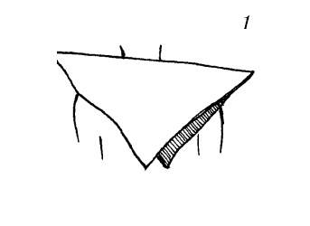 Иллюстрация к книге — Шарфик, платочек, парео. Как красиво и модно повязать [i_191.jpg]