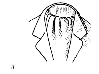 Иллюстрация к книге — Шарфик, платочек, парео. Как красиво и модно повязать [i_209.jpg]