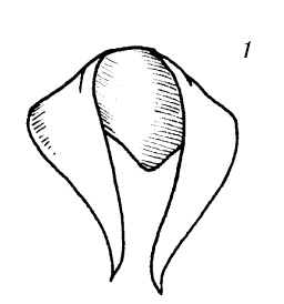 Иллюстрация к книге — Шарфик, платочек, парео. Как красиво и модно повязать [i_210.jpg]