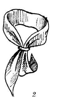 Иллюстрация к книге — Шарфик, платочек, парео. Как красиво и модно повязать [i_215.jpg]