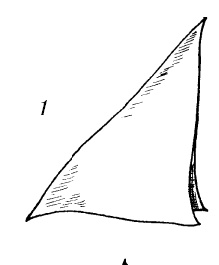 Иллюстрация к книге — Шарфик, платочек, парео. Как красиво и модно повязать [i_222.jpg]