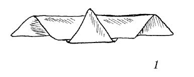 Иллюстрация к книге — Шарфик, платочек, парео. Как красиво и модно повязать [i_240.jpg]