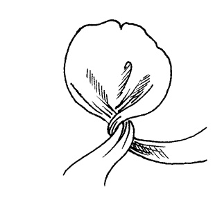 Иллюстрация к книге — Шарфик, платочек, парео. Как красиво и модно повязать [i_252.jpg]