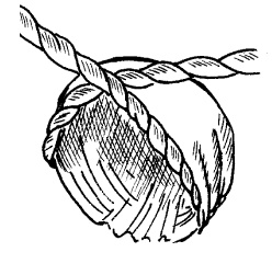 Иллюстрация к книге — Шарфик, платочек, парео. Как красиво и модно повязать [i_254.jpg]