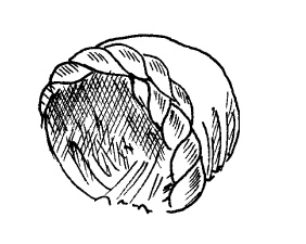 Иллюстрация к книге — Шарфик, платочек, парео. Как красиво и модно повязать [i_255.jpg]