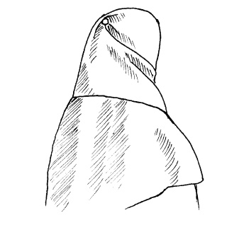 Иллюстрация к книге — Шарфик, платочек, парео. Как красиво и модно повязать [i_259.jpg]