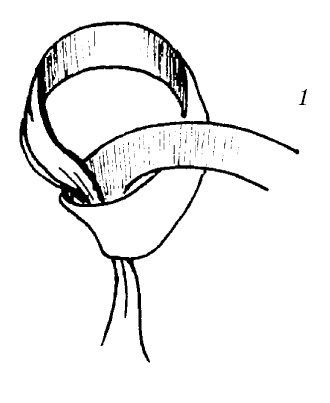 Иллюстрация к книге — Шарфик, платочек, парео. Как красиво и модно повязать [i_271.jpg]