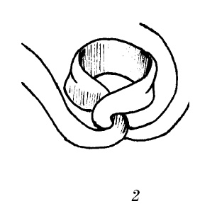 Иллюстрация к книге — Шарфик, платочек, парео. Как красиво и модно повязать [i_276.jpg]