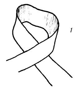 Иллюстрация к книге — Шарфик, платочек, парео. Как красиво и модно повязать [i_289.jpg]