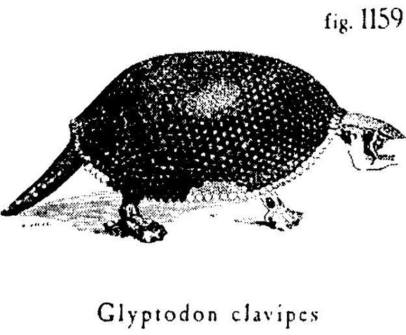 Иллюстрация к книге — Сад [i_003.jpg]