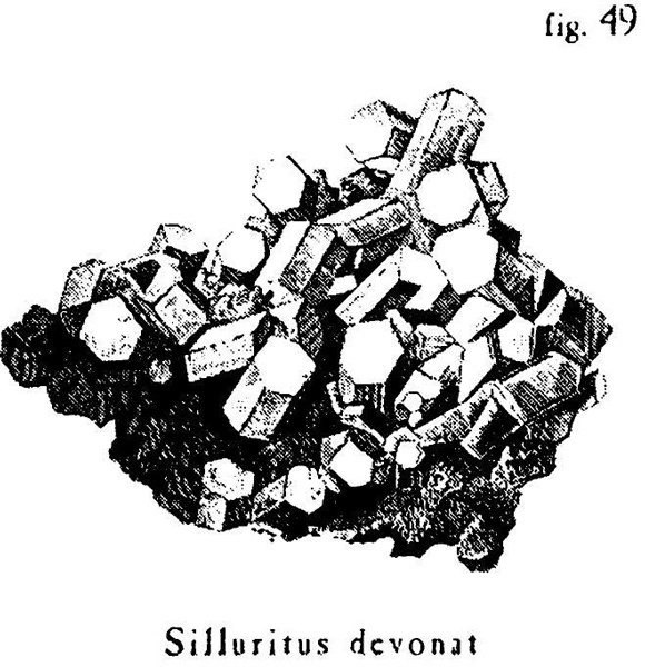 Иллюстрация к книге — Сад [i_004.jpg]