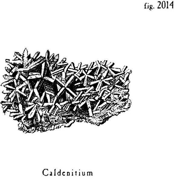 Иллюстрация к книге — Сад [i_016.jpg]