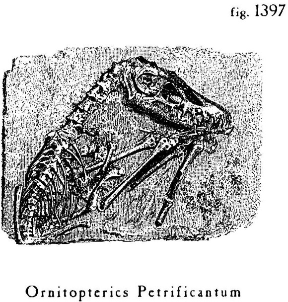 Иллюстрация к книге — Сад [i_018.jpg]