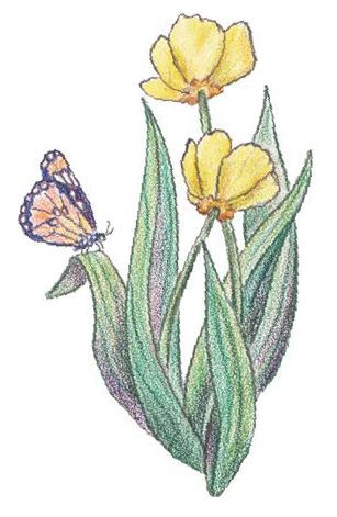 Иллюстрация к книге — Еня и Еля. Летние истории [imgcb62b241ff26405fb571b66a96089558.jpg]