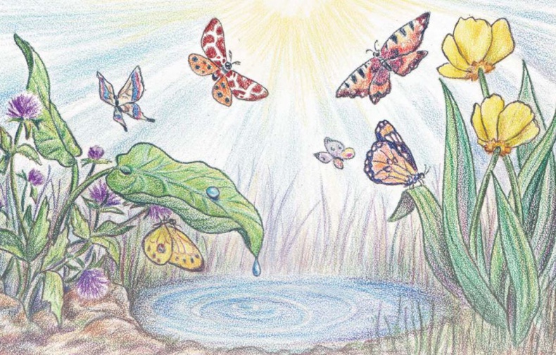 Иллюстрация к книге — Еня и Еля. Летние истории [imgcd44d8a7e90a4bb686128378646f1f84.jpg]