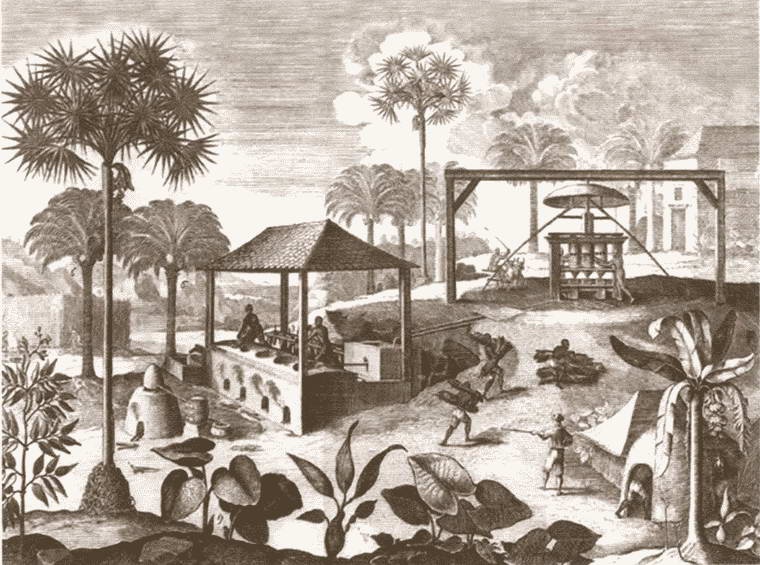 Иллюстрация к книге — Генри Морган [i_045.jpg]