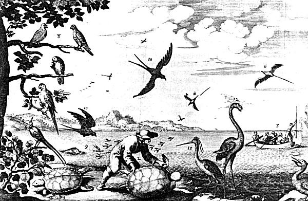 Иллюстрация к книге — 100 великих пиратов [_55.jpg]