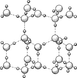 Иллюстрация к книге — О чем Эйнштейн рассказал своему повару [i_002.jpg]
