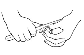 Иллюстрация к книге — Оригинальные украшения из овощей и фруктов [i_011.jpg]