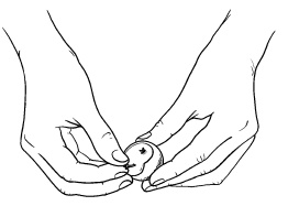 Иллюстрация к книге — Оригинальные украшения из овощей и фруктов [i_014.jpg]