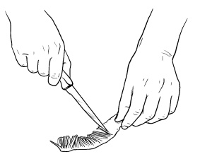 Иллюстрация к книге — Оригинальные украшения из овощей и фруктов [i_018.jpg]