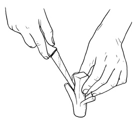 Иллюстрация к книге — Оригинальные украшения из овощей и фруктов [i_023.jpg]